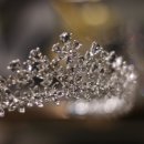 코코픽스 이미지