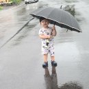 오대민박 이미지