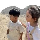 승마랜드 | 울산 아이랑 가볼만한곳 포니랜드 승마체험 양 먹이주기 후기