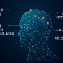 정권멀티짐 이미지