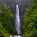 숲속풍경 이미지