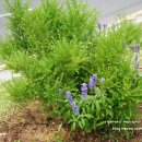 원당프라자약국 이미지