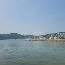 일광장어 이미지