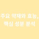 해정탕
