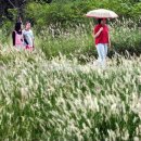 9월29일 포토뉴스 이미지