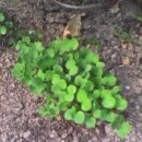 병화 농장 이미지