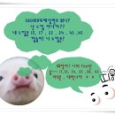 돼랑이와깜놀이의 "느낌있는" 580회 로또예상번호 공유합니다. 믿거나말거나 이미지