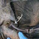 세탁 | [고파미르 t720 텐트세탁 후기] -> 부산텐트세탁연구소 기장점