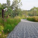 우산공원길 이미지