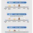 839 | 나트랑 VJ839 항공편 판랑 얼리모닝 투어 후기와 준비물