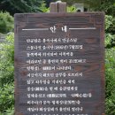 저수지길 Daum카페