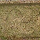 태극무관 이미지