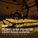 감성있는 클래식 캔들 | 가을 로맨틱한 캔들라이트 콘서트 문화생활 클래식공연(+fever 할인코드)