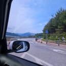 갈말목장 | 강원도 강릉여행 평창 대관령양떼목장 5월 양방목 주차 할인 가격 후기