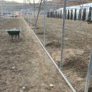 상방농장 이미지