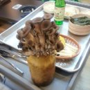 덕담오리 이미지