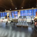 라이언복싱gym 이미지