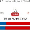 8월20일 국내야구 자료정보 이미지