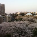 대학한약국 이미지