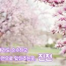 도계 태양광발전소 네이버블로그