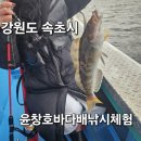 이차돌속초교동점 | 강원도 속초시 속초윤창호바다배낚시체험 다녀온 후기!
