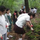 예일여고 이미지