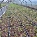 재민농장 이미지