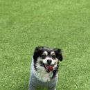 어뮤즈 호텔 이미지