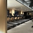 스테이 산위 이미지