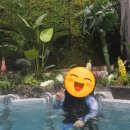 파동로 | 대구파동맛집 스파밸리 근처 화판 닭숯불구이 닭도리탕 솔직후기