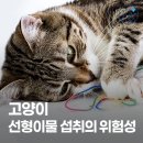 주안 메디컬센타 이미지