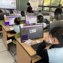 홍대부속초교 이미지