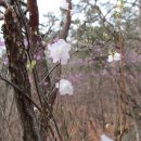 자드락민박 이미지