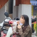 중앙동236 이미지