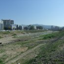 금호강주유소 이미지