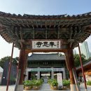 사회복지법인 다운회 아름다운 | 강남가볼만한곳 봉은사 연꽃축제와 소원초 체험 후기