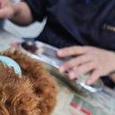 해피트리 동물병원 이미지