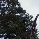 개울가펜션 별관 | 강원도 양구 군부대근처 숙소추천 개구리펜션 이용후기 1탄.( 맛집추천은 2탄으로~)