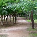 광주시민의숲 야영장 이미지