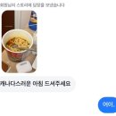 굿대디 PC(삼화점) | 🇨🇦 캐나다 밴쿠버 D+3,4,5 | 밴브릿지 유학원 짧은 후기, 잉글리시 베이 비치, 스탠리 파크, 라쿤(⭐️절대...