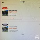 내리계곡로 | 강원도 영월 내리계곡솔밭캠핑장 매년 가는 계곡 맛집 사이트 추천