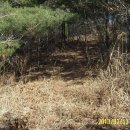 오류3리 이미지