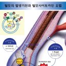 에스메드 네이버블로그