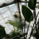 가옥주유소 이미지