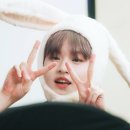 도깅