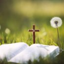 한국침례신학대학교 대학원 이미지