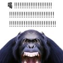 제일라아트홀 | 남자좋아하다가저숭라라가게생겻다