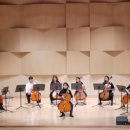 첼로(야간) 이미지