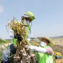 김동훈 농장 이미지