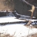 양지바른공인중개사사무소 네이버블로그